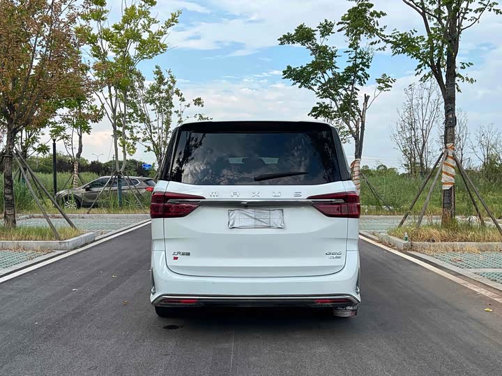 Фото 3 - Maxus G20