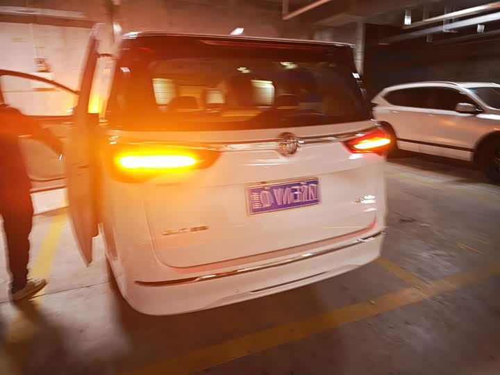 Фото 5 - Buick GL8 ES