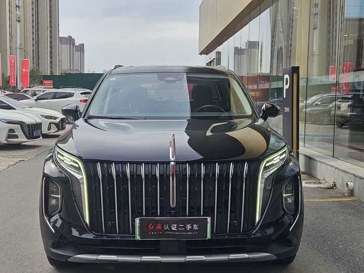 Фото 4 - Hongqi HS7 Hybrid