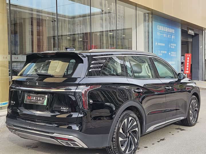 Фото 5 - Hongqi HS7 Hybrid