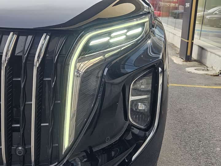 Фото 9 - Hongqi HS7 Hybrid