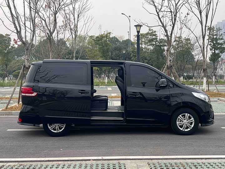 Фото 3 - Maxus G10