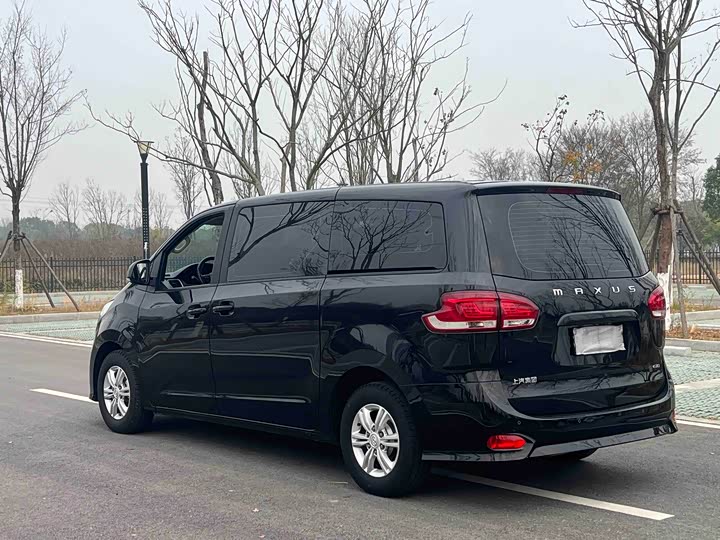 Фото 4 - Maxus G10