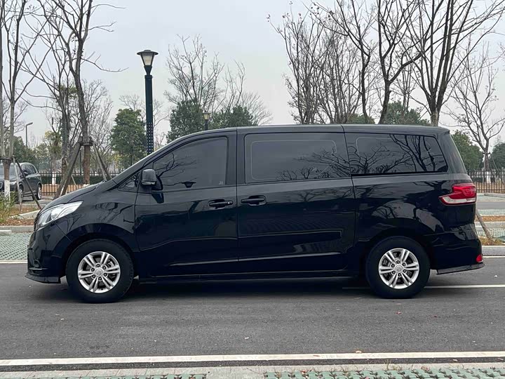 Фото 6 - Maxus G10