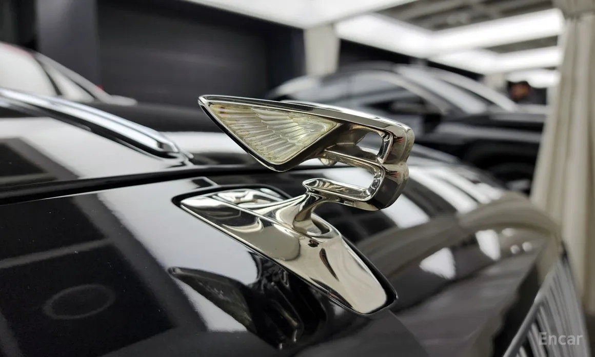 Фото 20 - Bentley Flying Spur