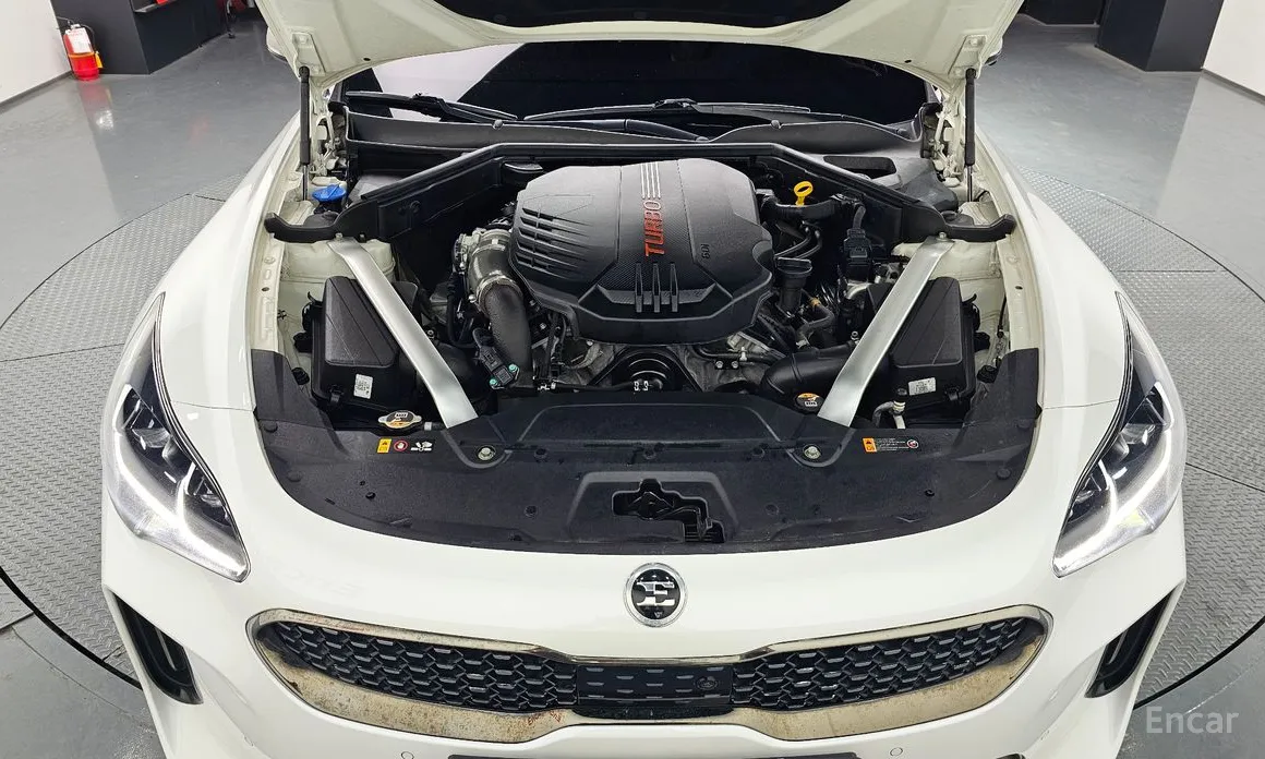 Фото 6 - Kia Stinger