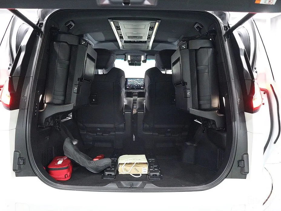 Фото 5 - Lexus LM