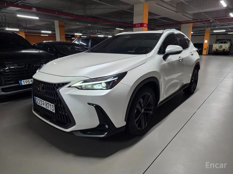Фото 1 - Lexus NX