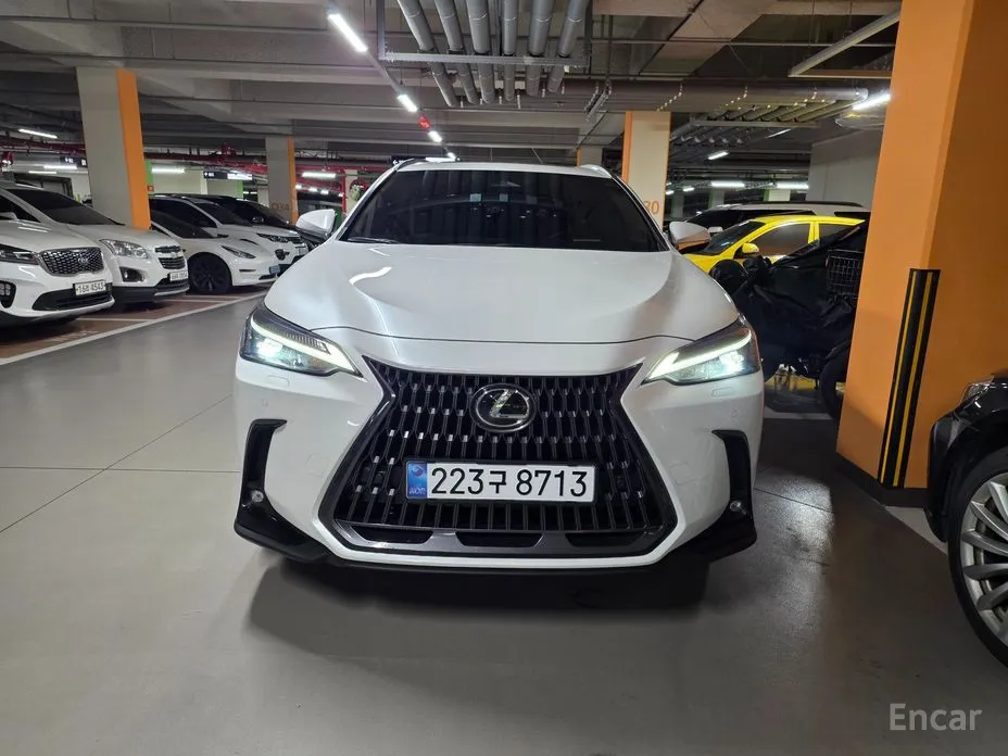 Фото 3 - Lexus NX
