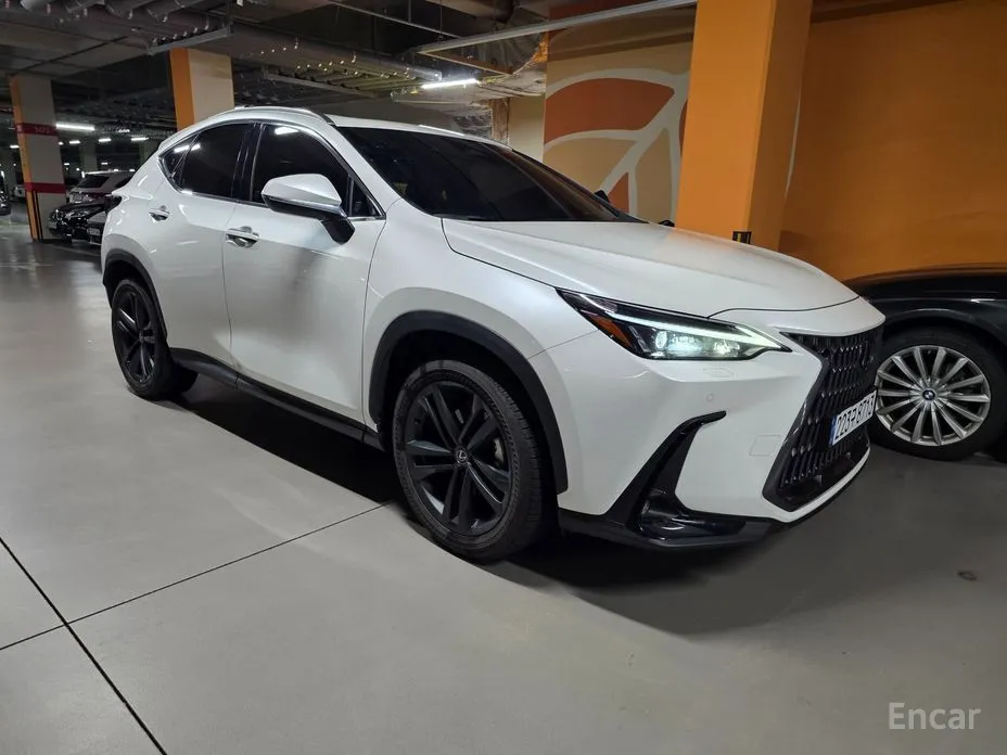 Фото 5 - Lexus NX