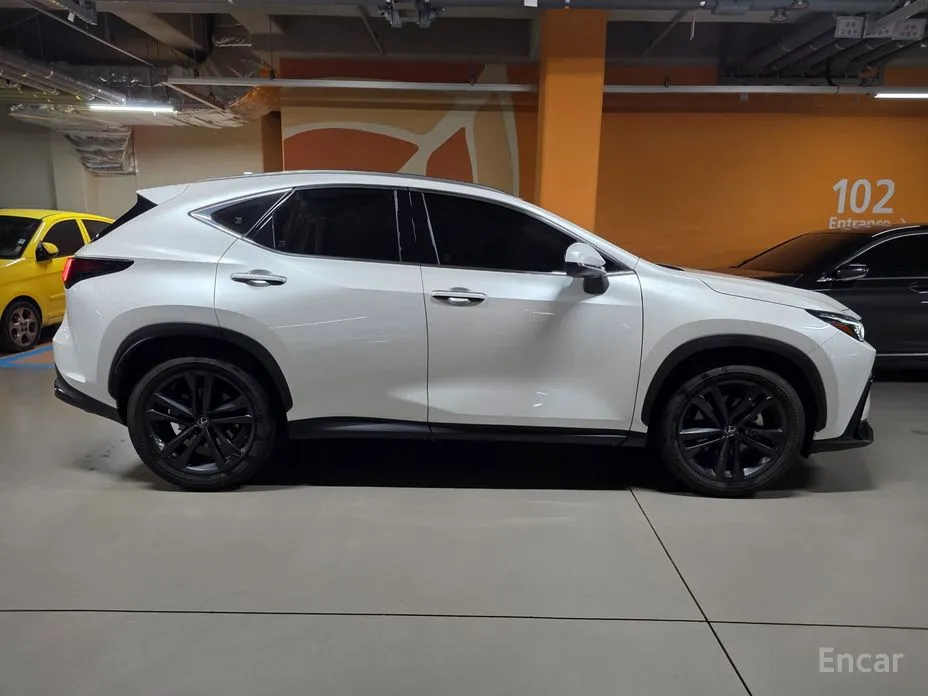 Фото 6 - Lexus NX