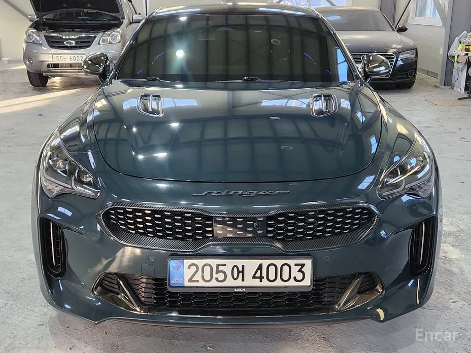 Фото 4 - Kia Stinger