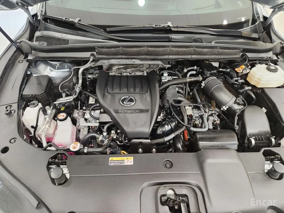 Фото 7 - Lexus RX