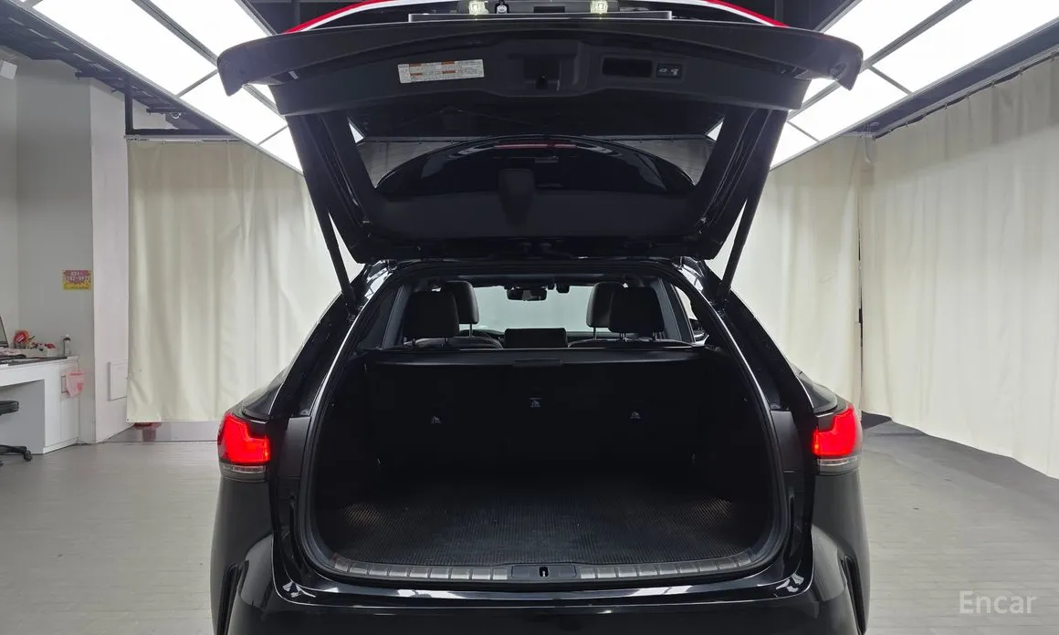 Фото 20 - Lexus RX