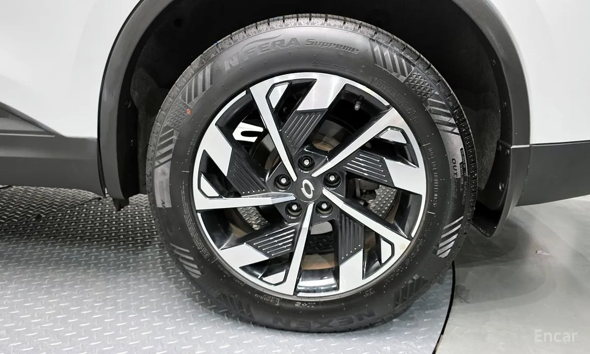 Фото 5 - Renault QM6