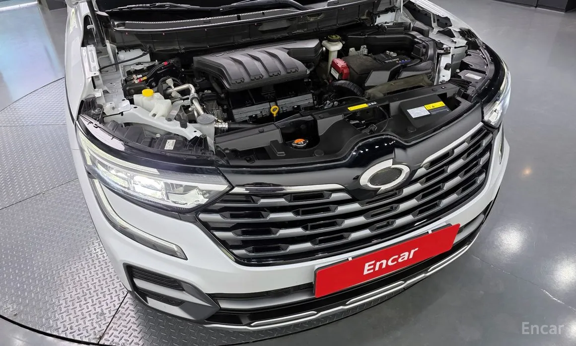 Фото 6 - Renault QM6