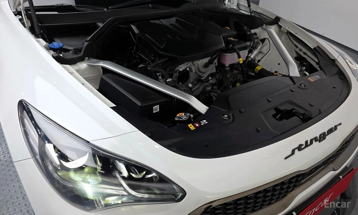 Фото 6 - Kia Stinger