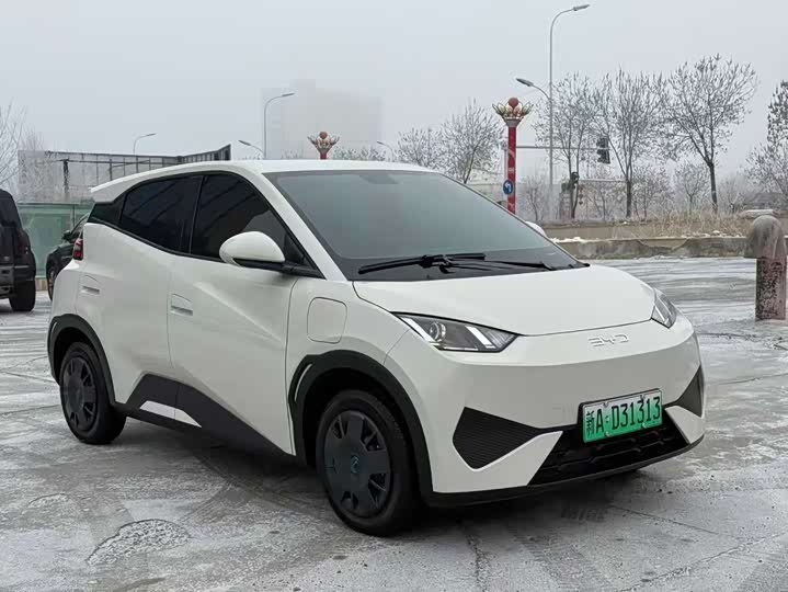 Фото 1 - BYD Seagull