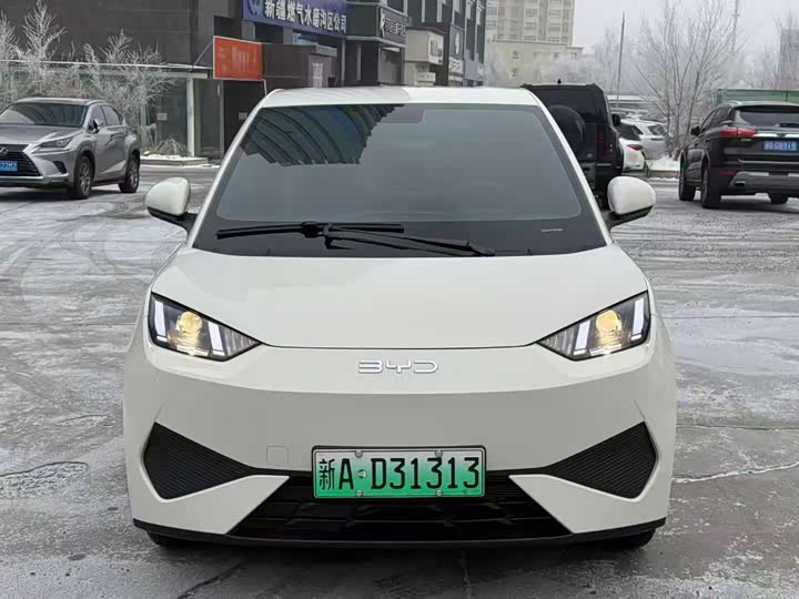 Фото 2 - BYD Seagull