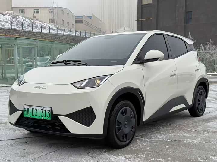 Фото 3 - BYD Seagull