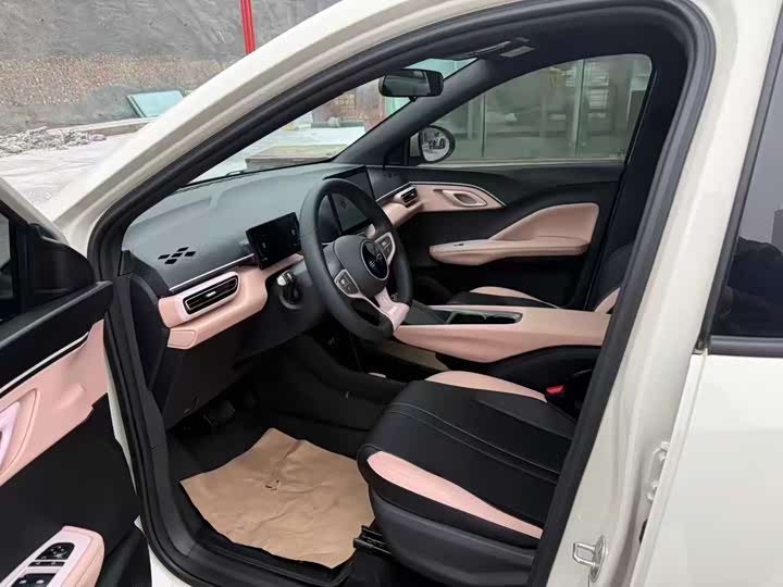 Фото 4 - BYD Seagull