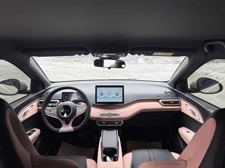 Фото 6 - BYD Seagull