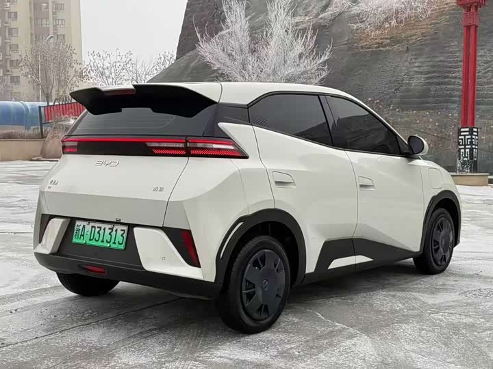 Фото 7 - BYD Seagull