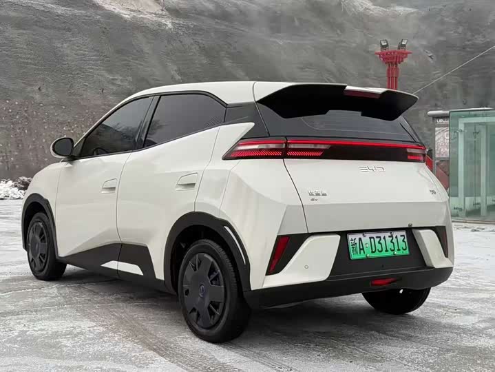 Фото 9 - BYD Seagull