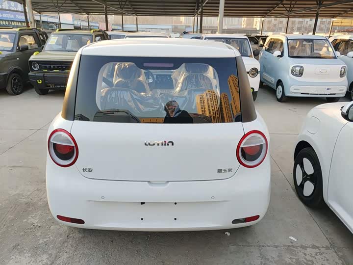 Фото 6 - Changan Qiyuan (Nevo) Lumin