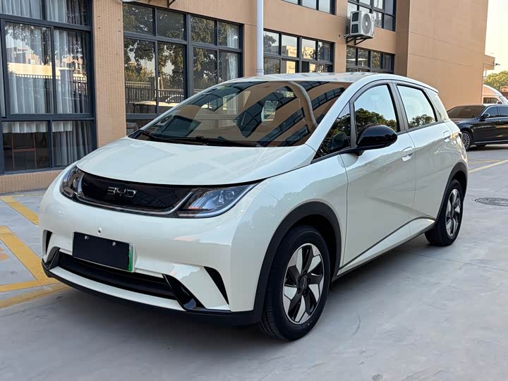 Фото 1 - BYD Dolphin