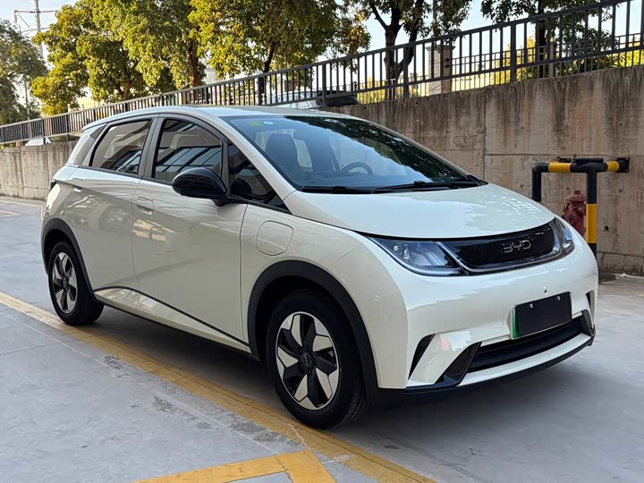 Фото 3 - BYD Dolphin