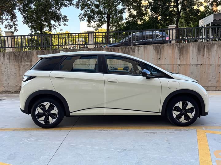 Фото 4 - BYD Dolphin