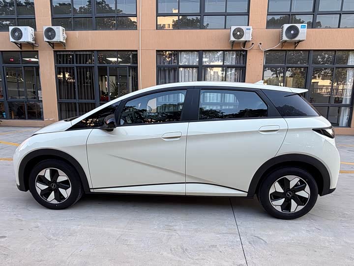 Фото 5 - BYD Dolphin