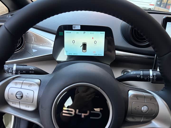 Фото 9 - BYD Dolphin