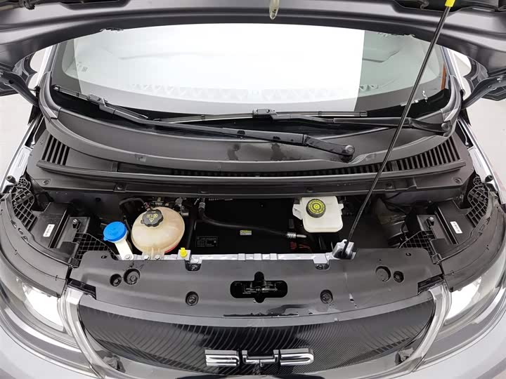 Фото 6 - BYD Dolphin