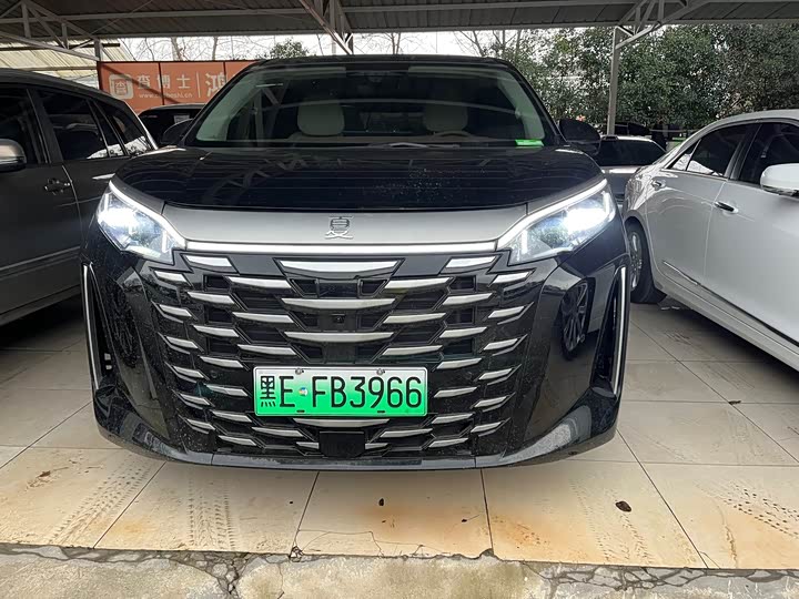 Фото 3 - BYD Xia