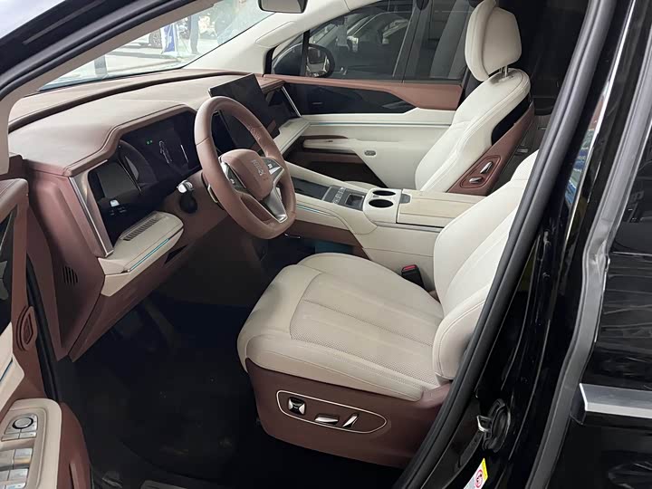 Фото 6 - BYD Xia