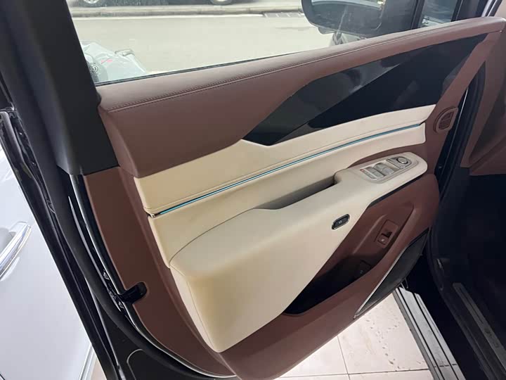 Фото 7 - BYD Xia