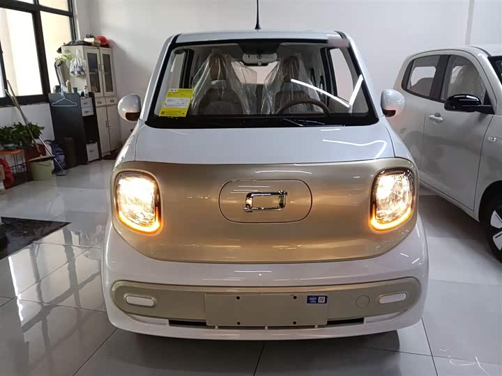 Фото 3 - Bestune Pony