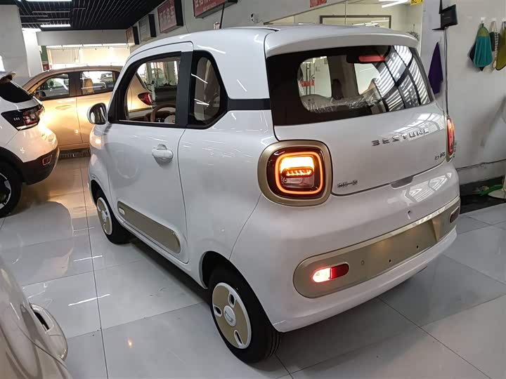 Фото 5 - Bestune Pony