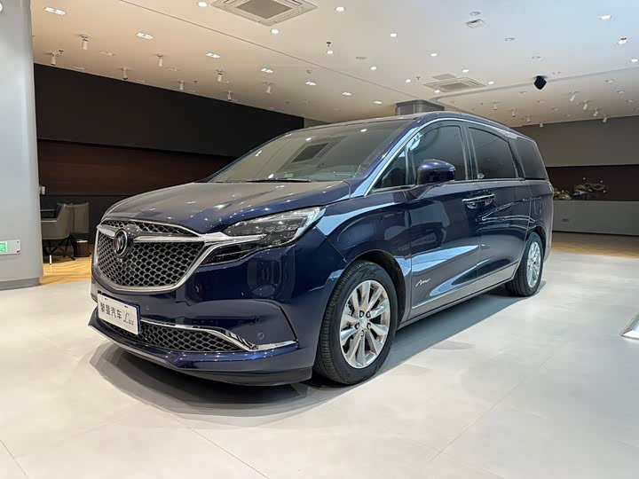 Фото 2 - Buick GL8 ES