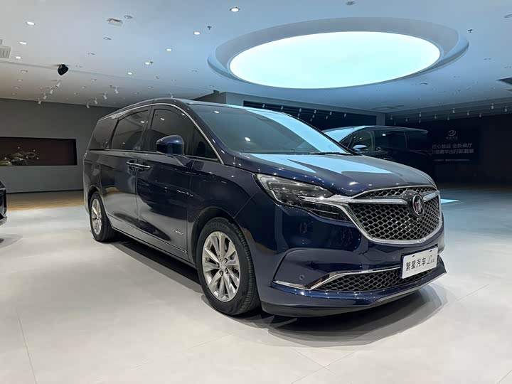 Фото 3 - Buick GL8 ES