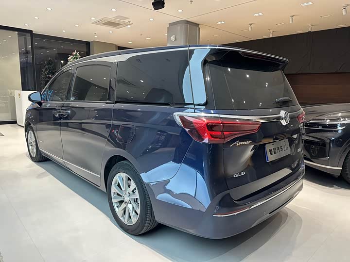 Фото 7 - Buick GL8 ES