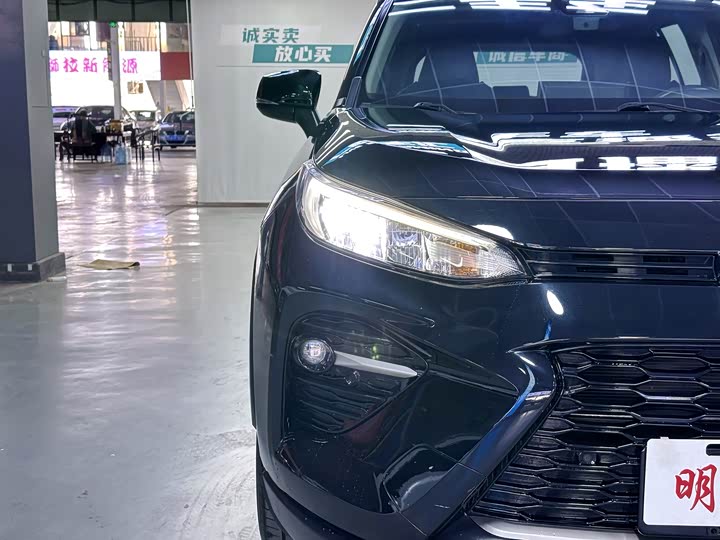 Фото 6 - Toyota Wildlander