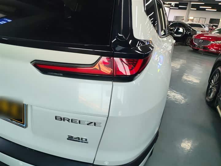 Фото 8 - Honda Breeze