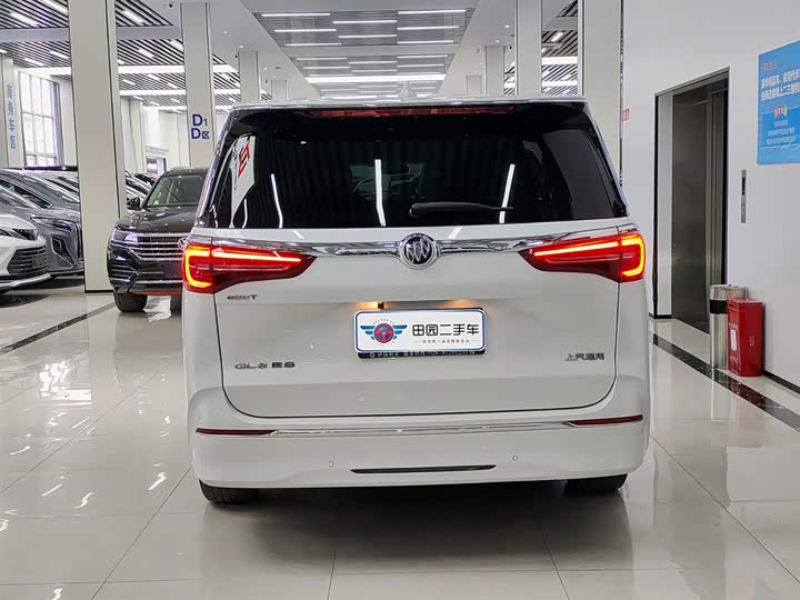 Фото 5 - Buick GL8 ES