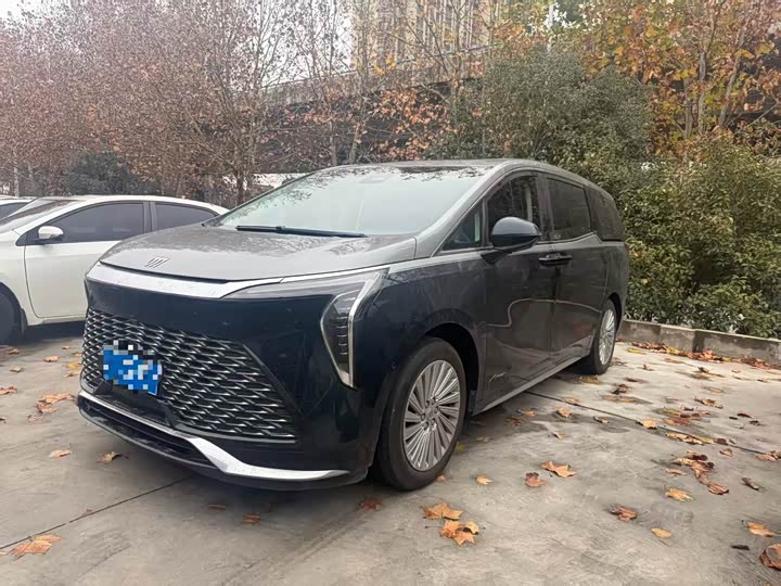 Фото 1 - Buick GL8 Century