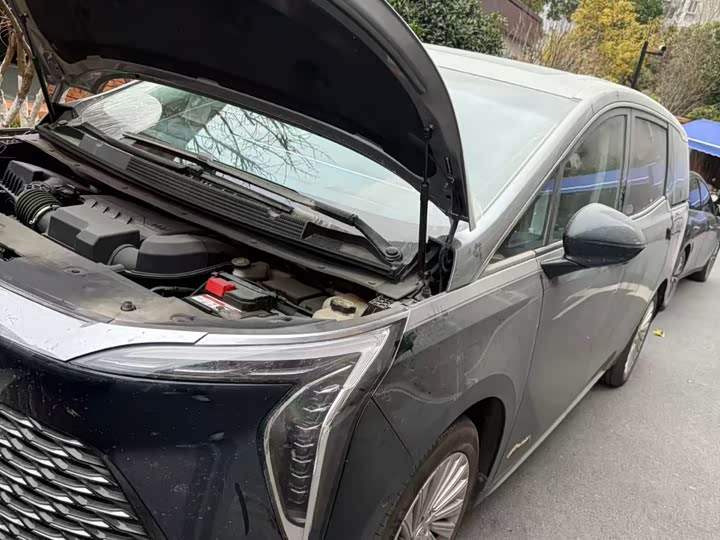 Фото 2 - Buick GL8 Century