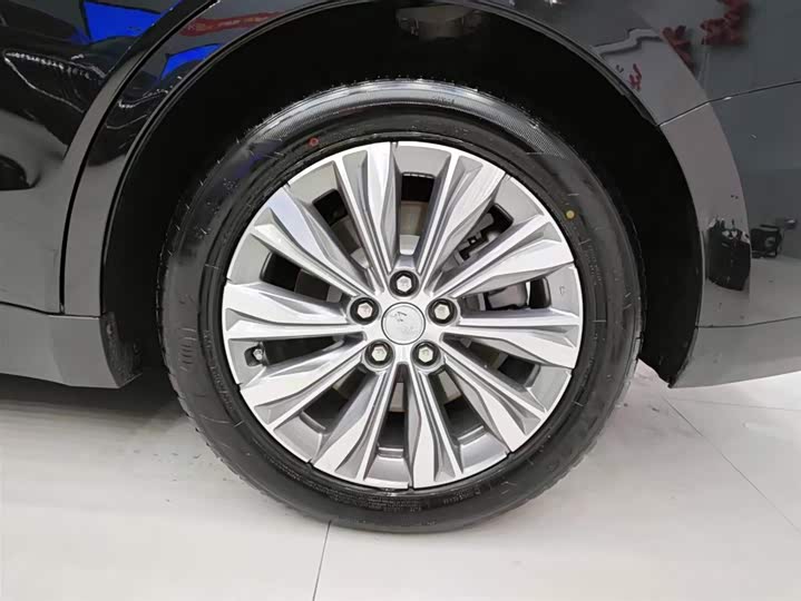 Фото 9 - Hongqi E-QM5