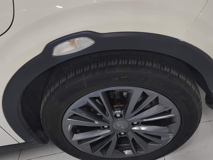 Фото 6 - Hozon V